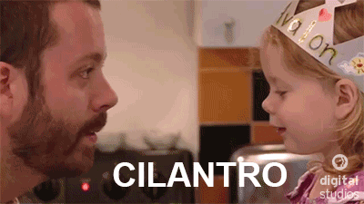 father introducing cilantro to little girl in the kitchen