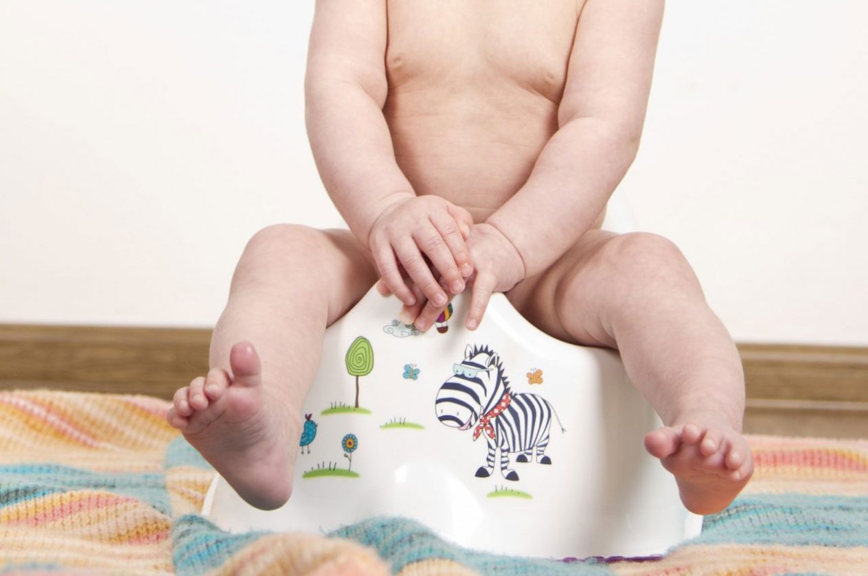 toddler on a potty trainer