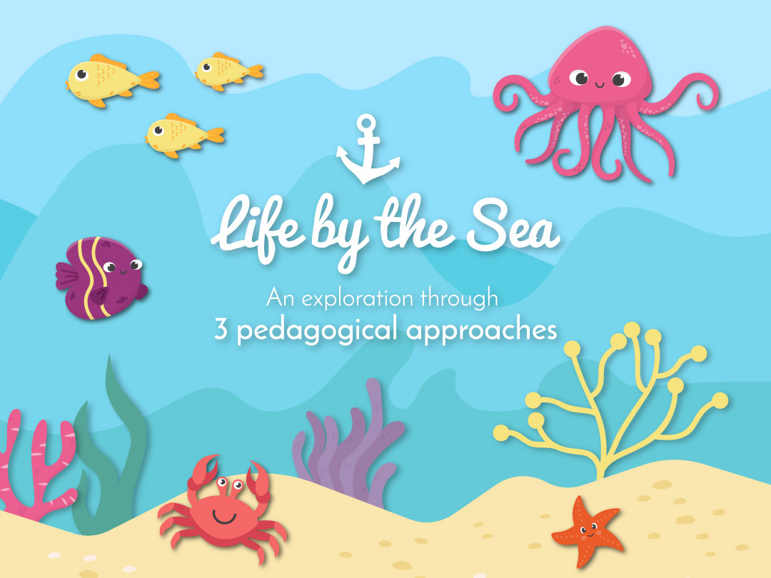 Exploring Life by the Sea through 3 pedagogical approaches